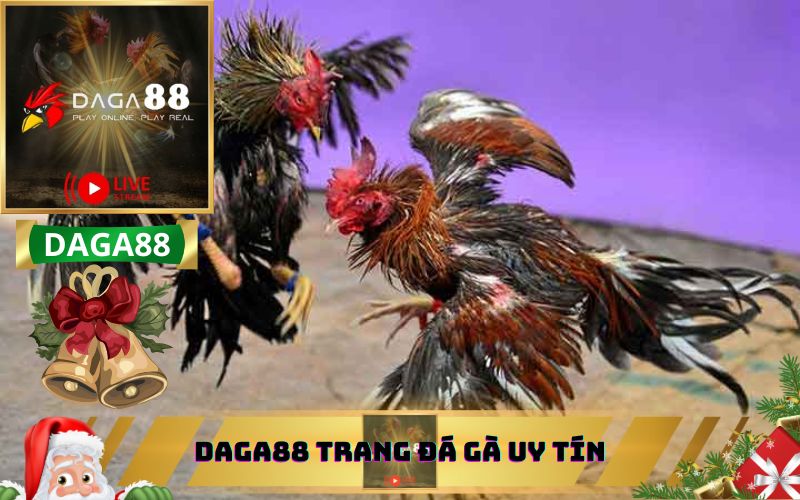 TRANG ĐÁ GÀ UY TÍN DAGA88